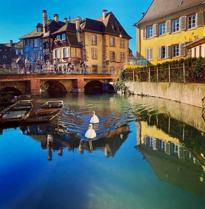 Maison 1708 - Rue Du Canard - City Center Colmar Bagian luar foto